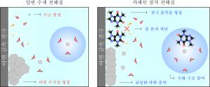 고려대 