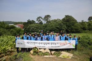 KT&G, 농가와 상생 위해 19년째 잎담배 수확 봉사활동