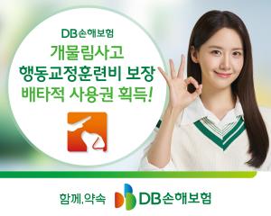 DB손보, ‘개물림사고 행동교정훈련비 보장' 9개월 배타적 사용권 획득